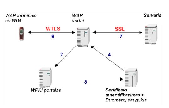 WTLS1.jpg