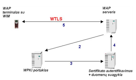 WTLS3.jpg